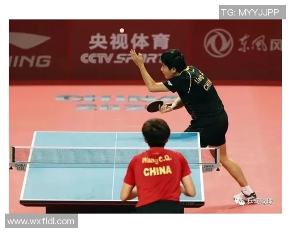 深入分析杭州乒乓球队进攻战术与技术特点的专业解读