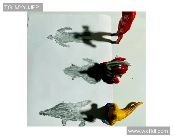 探索光影世界：从基础到进阶的摄影技巧与创意实践