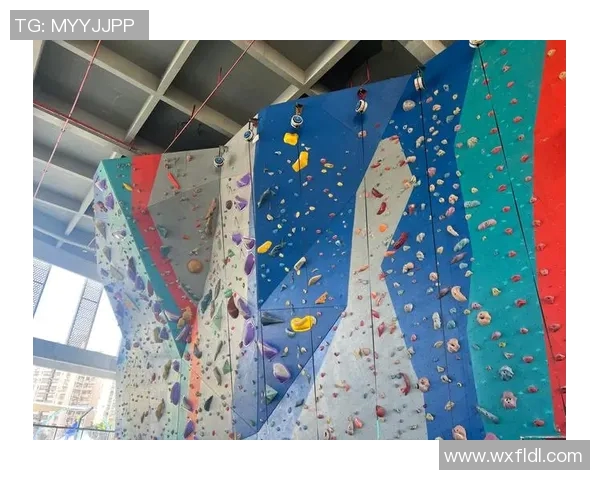 攀岩之美：深入杭州攀岩队灵活性训练与技巧探讨