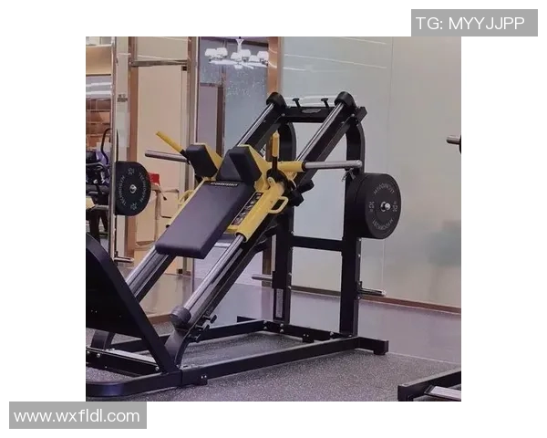 海口哪里可以买到高质量的健身器材？本地门店推荐