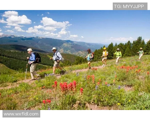 王芳独家分享飞盘技巧与心得体会助你轻松掌握这项运动的魅力与乐趣