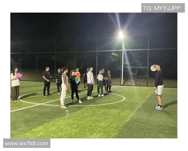 张丽独家揭秘飞盘技巧与心得分享助你轻松掌握这项运动的乐趣与魅力
